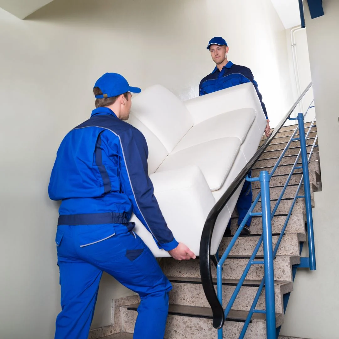 Furniture Movers